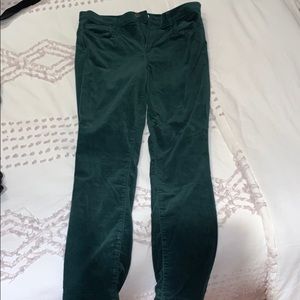 Velvet Loft Pants